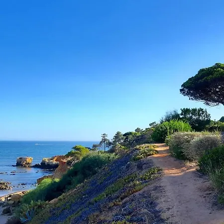 T1 Santa Eulalia * 알부페이라